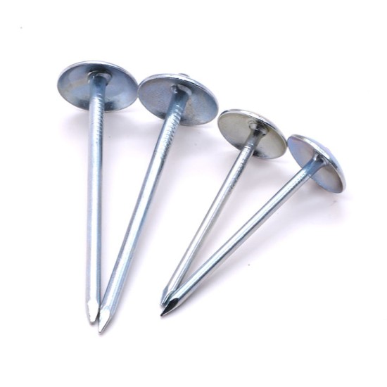 Hot Sale Galvanized Head Umbrella Roofing Nail for Building