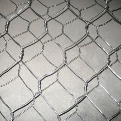 pvc galvanized welded fencing net iron wire mesh electro galvanized welded wire mesh